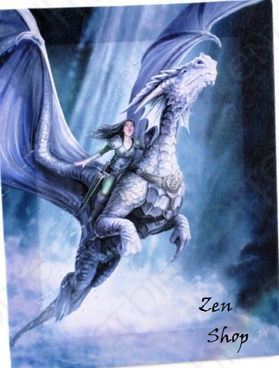 Πίνακας σε Καμβά Dragon Warrior