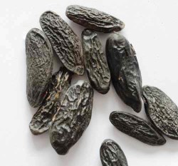 Tonka Beans