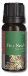 Πεύκο (Pine)