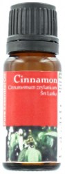 Κανέλα (Cinnamon)