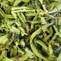 Λουϊζα (Lemon Verbena)