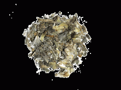 Γαϊδουράγκαθο (Milk Thistle)