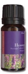Ύσσωπος (Hyssop)
