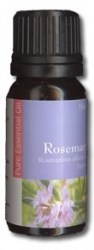 Δεντρολίβανο (Rosemary)