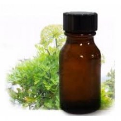 Γάλβανο (Galbanum)